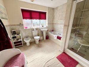 Photo 11- click for photo gallery